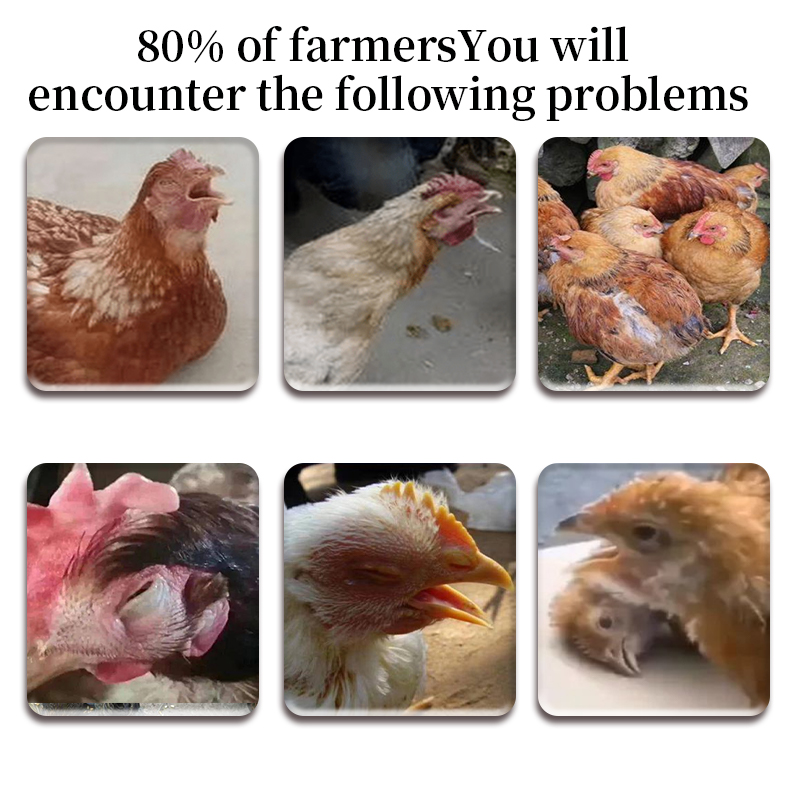 poultry feed additives layer feed addit feed and addit feed grade amino acid additives animal feed grade additives