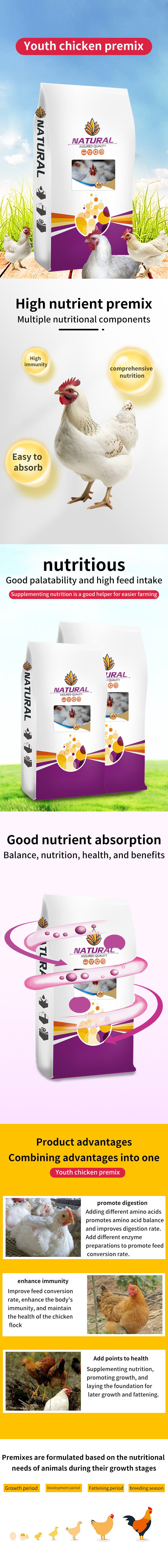 animal feed Chicken premix feed premix feed
