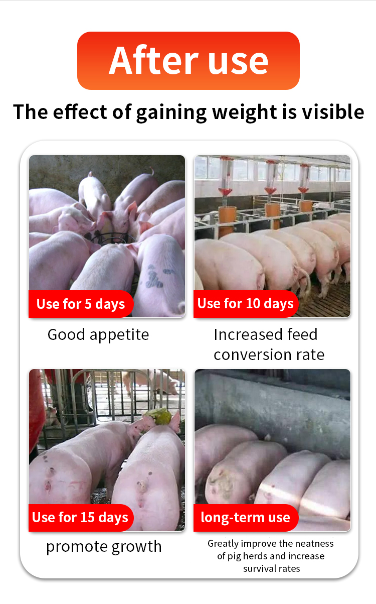 pig feed additive for weight gain