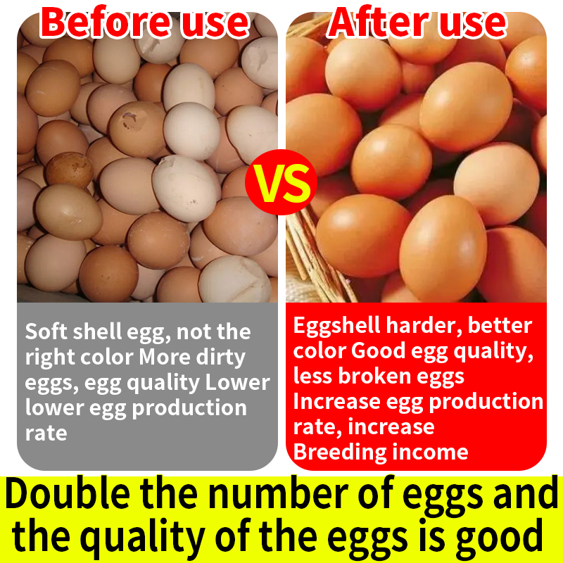 Egg Doll Egg Booster Egg Quality feed additives layer feed additive feed grade amino acid additive animal feed grade additive Layer Feed Additive Egg Production Booster Shell Quality Enhancer