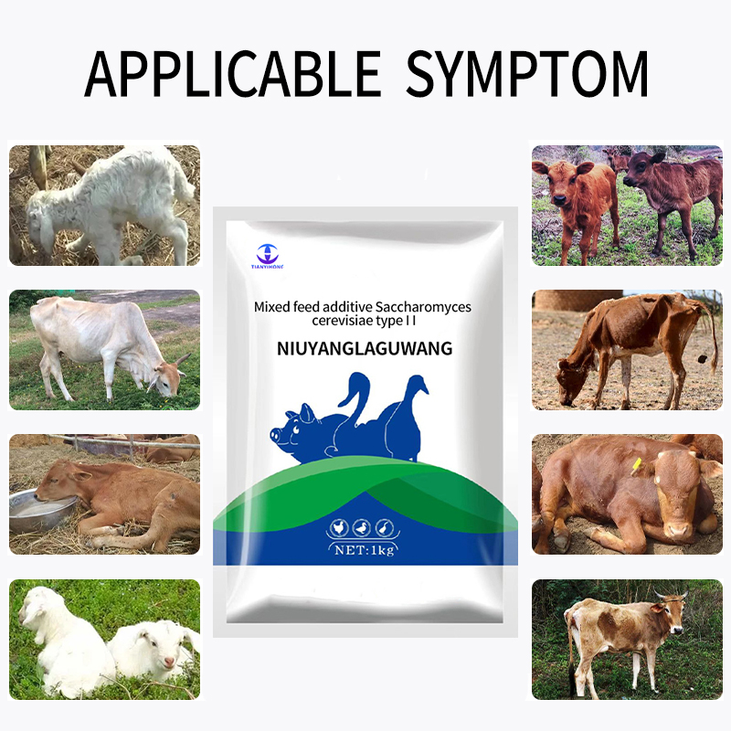 Weight Gain Additive Appetite Enhancer Ruminant Growth Booster