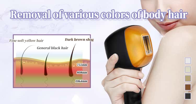Comfortable, Painless & Safe Hair Removal