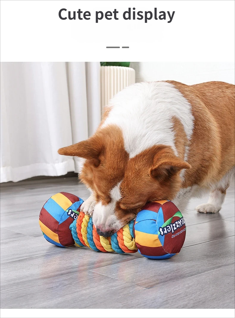 dog toy - dog teething toys Cross-border pet supplies: durable puppy teething toys