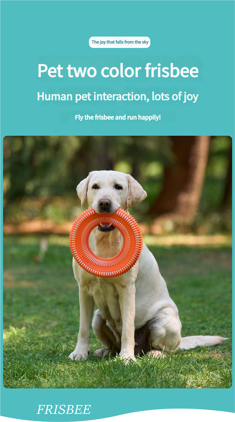 Outdoor training dog - Best flying disc for dogs Dog flying disc Bite-Resistant Frisbee for Outdoor Interactive Play