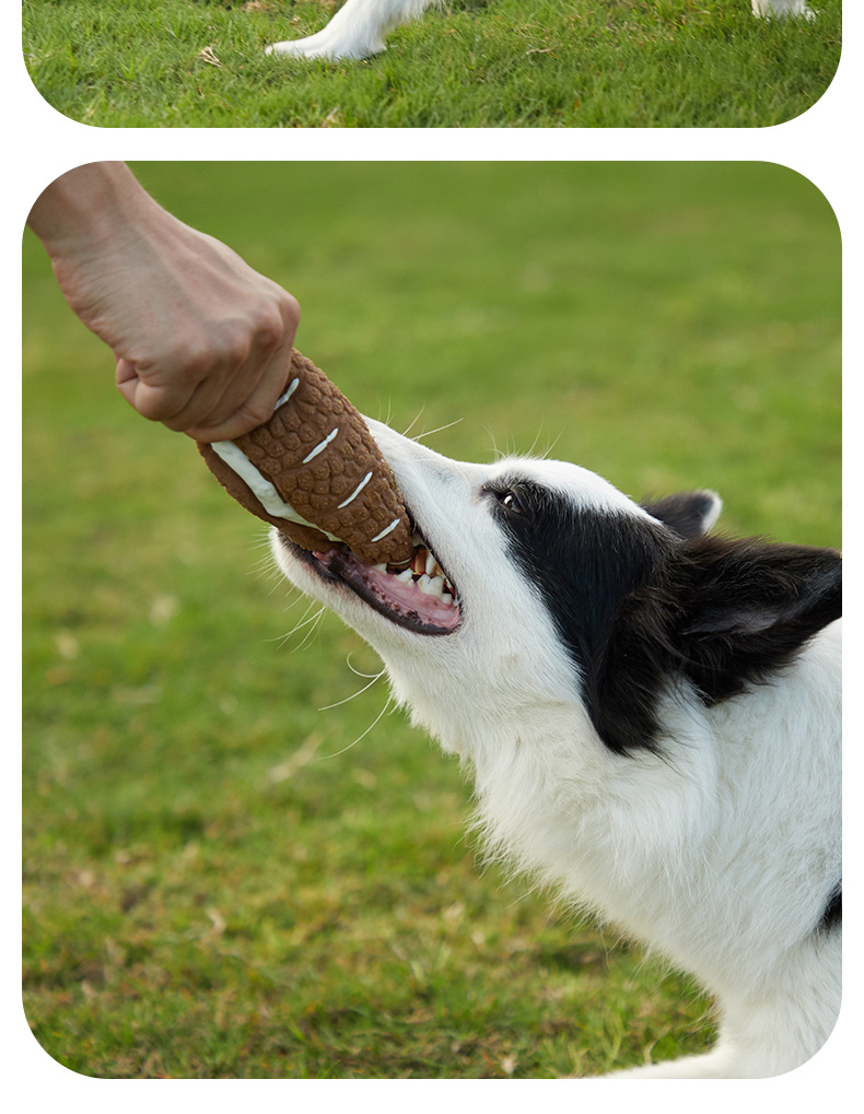 Pet dog toy - Interactive donut Talking toys Lightweight Latex Toy for Small Large Dogs