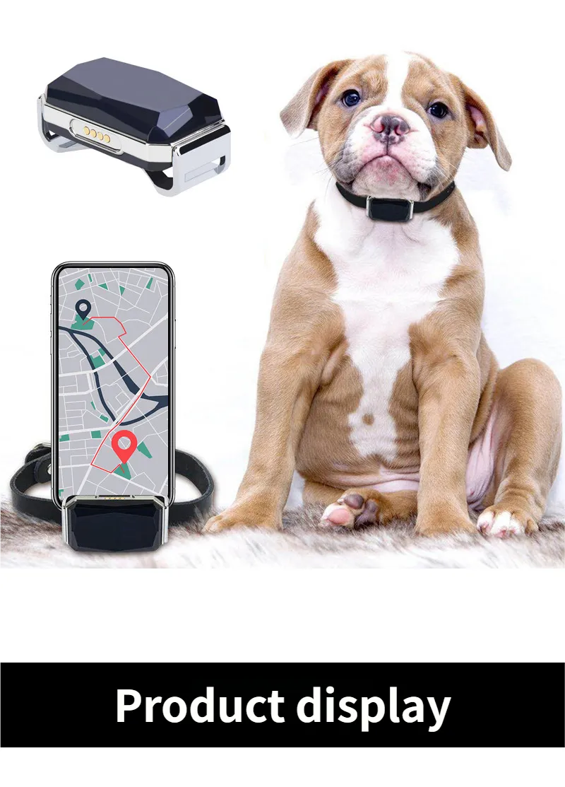 Pet GPS Location - GPS Tracker for Dogs Cat GPS Tracker Smart Pet Activity Monitor for Outdoor Cats