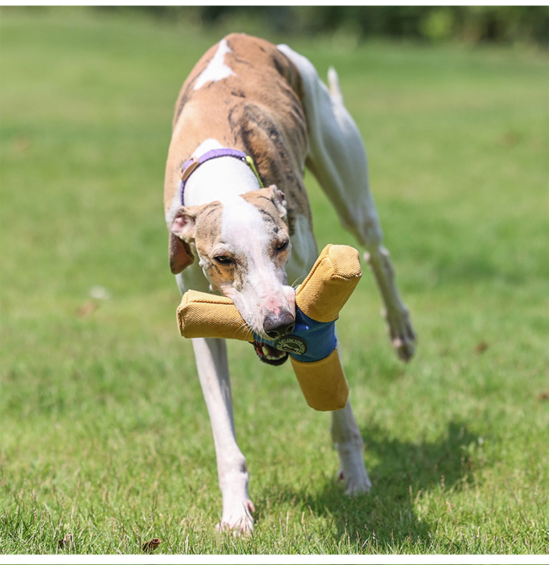interactive toy - dog flying disk Stain-resistant toys that make noise for daily pet play