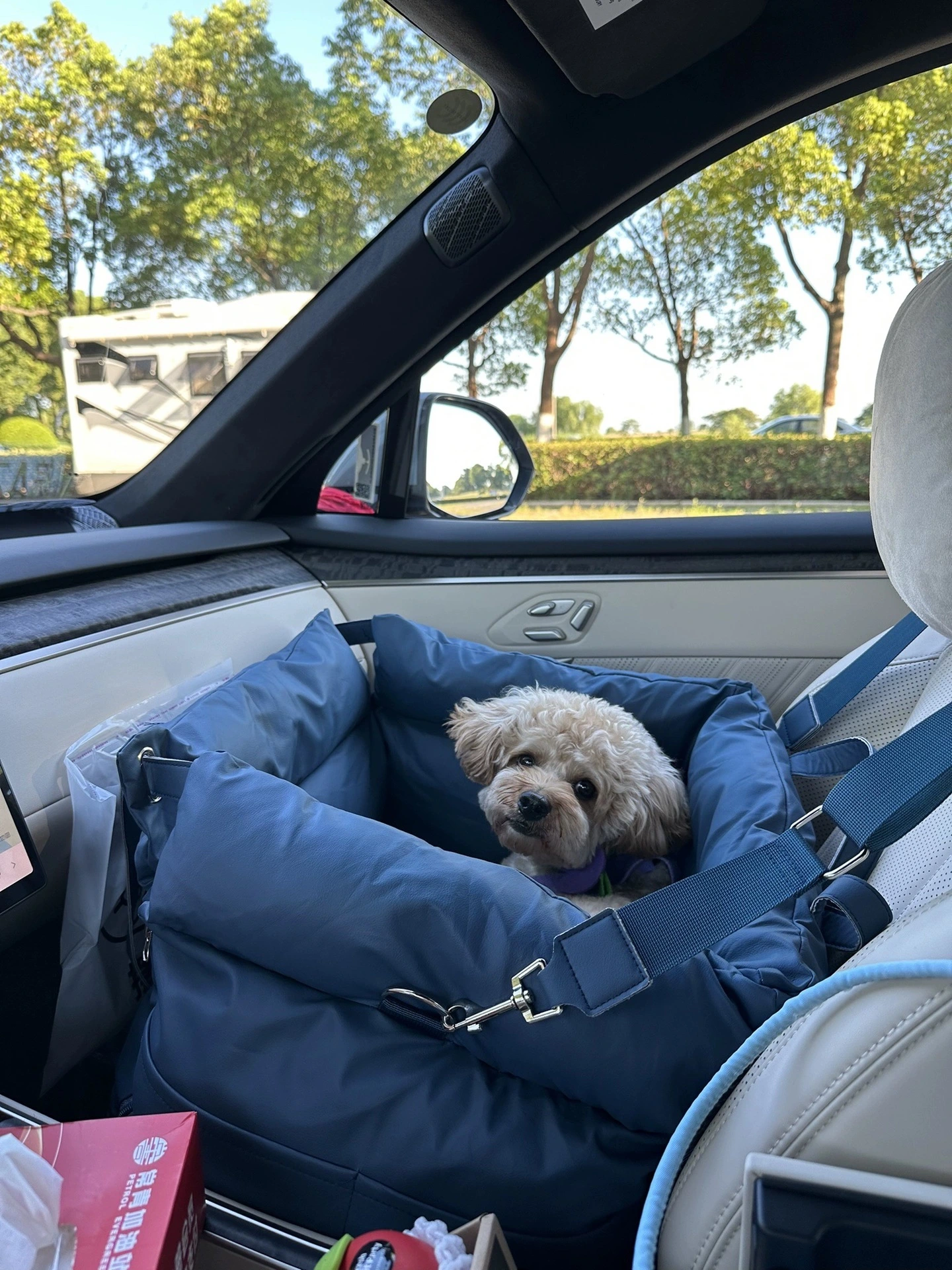 Eco-Friendly Fabric Pet Car Carrier Bed - Sustainable Dog House - OEM Service & Wholesale Supply