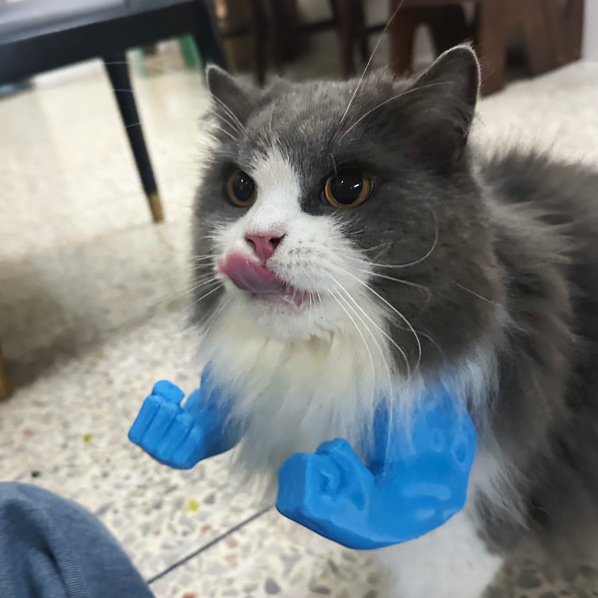 Adjustable Cat Muscle Arms - Pet toys 3D printed cat toys Durable 3D Craft Toy for Cat Chew & Bat