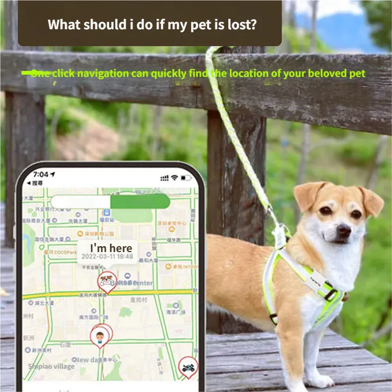 Best dog tracker - Pet locator dog tracking Dog collar tracker APP Alert for Puppies & Adult Dogs