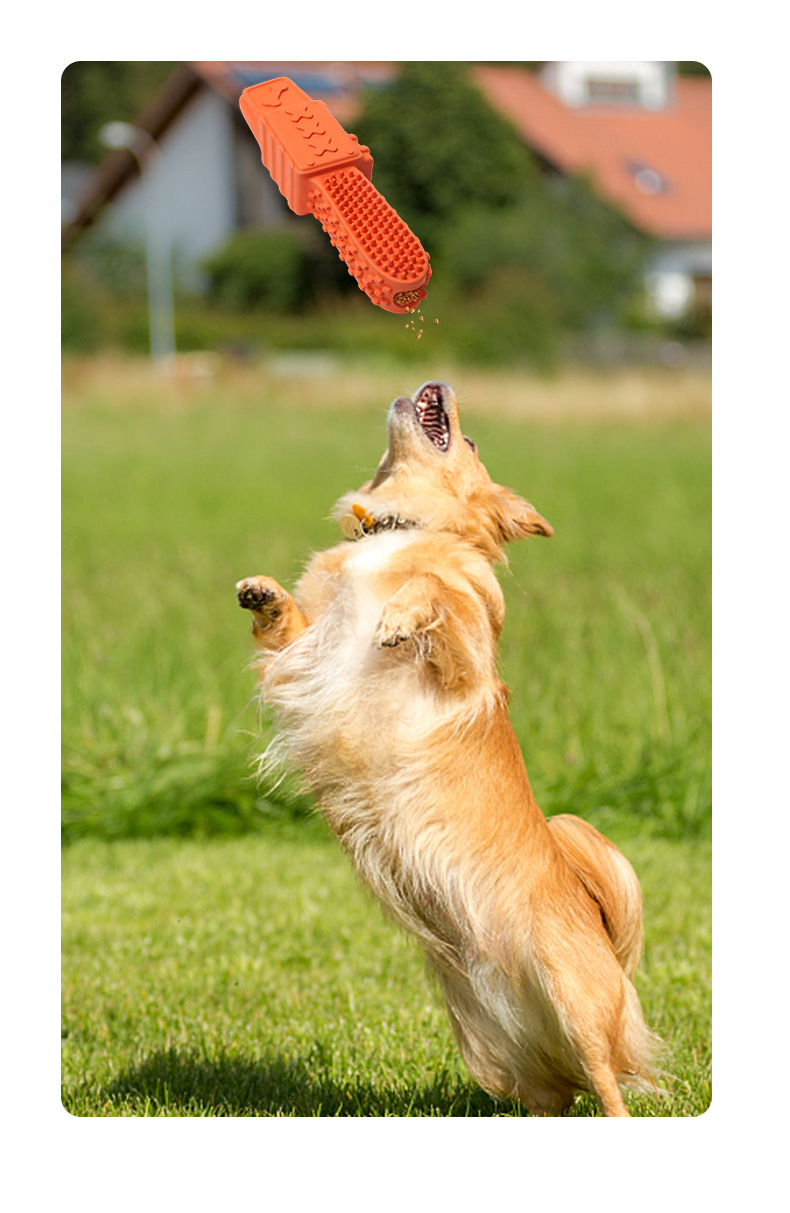 B2C leak-proof chewing toy - Super tough dog toys best teething toys for puppies enrichment pet toy