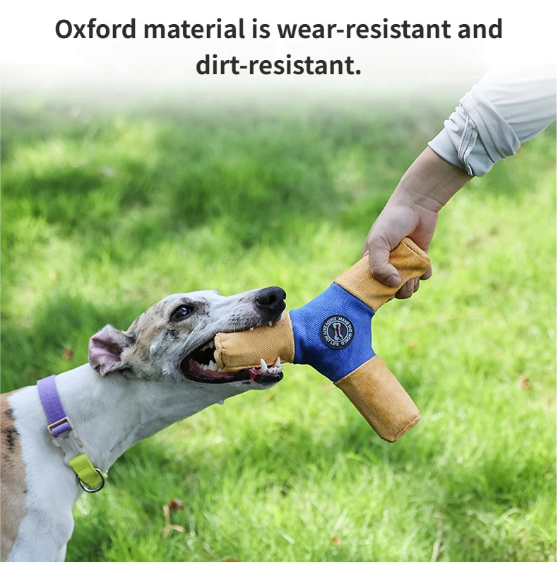 dog flying disk - toys that make noise Squeaky dog flying disk, a top interactive toy for pets