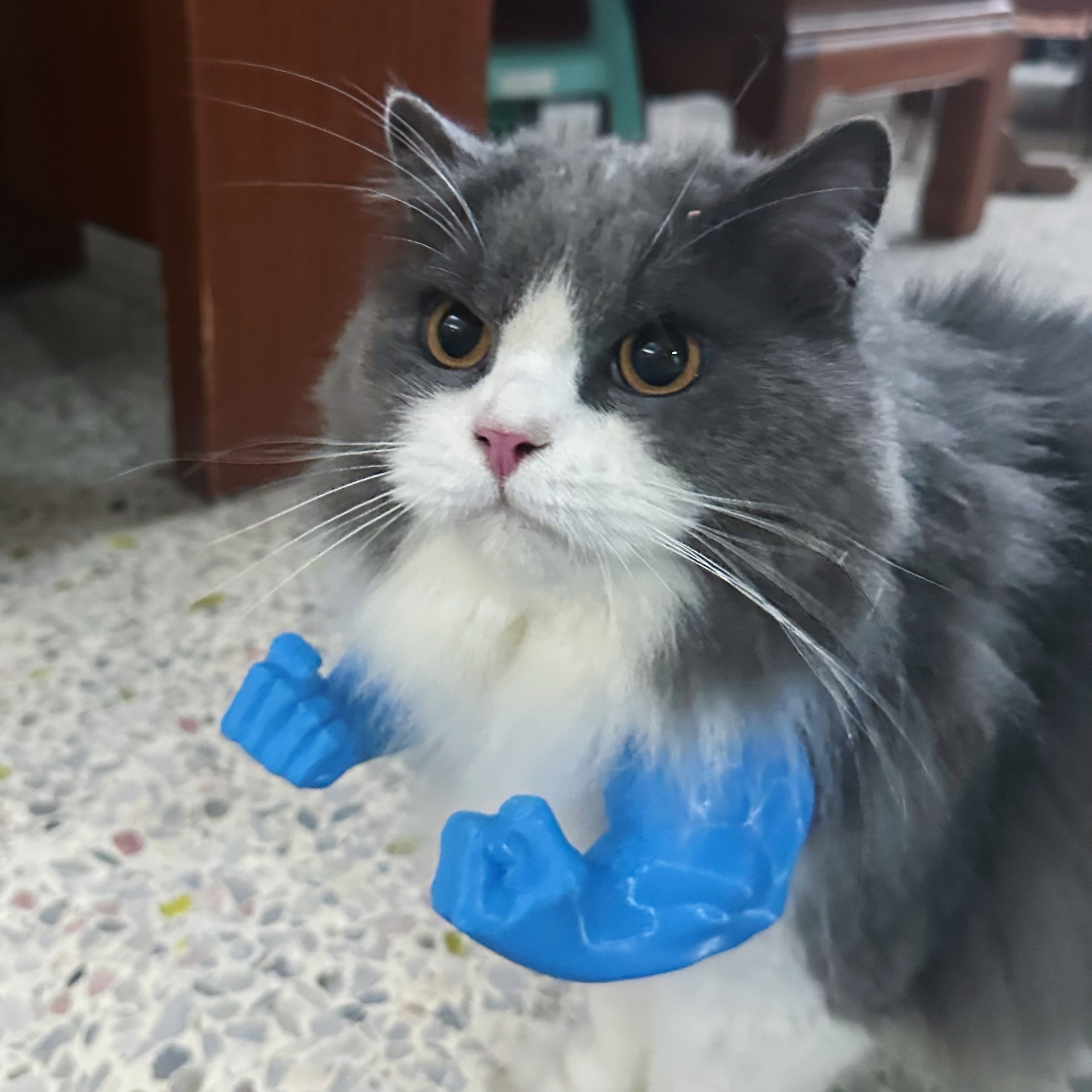 Pet toys - 3D printed cat toys Adjustable Cat Muscle Arms Non-Toxic Resin Toy for Cat Mental Stimulation