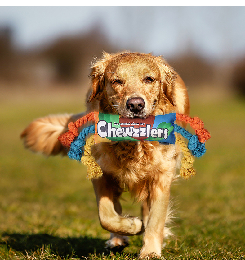 puppy teething toys - dog toy Interactive rainbow dog teething toys for pet training