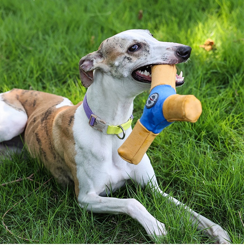 toys that make noise - interactive toy Durable dog flying disk for park and backyard fun