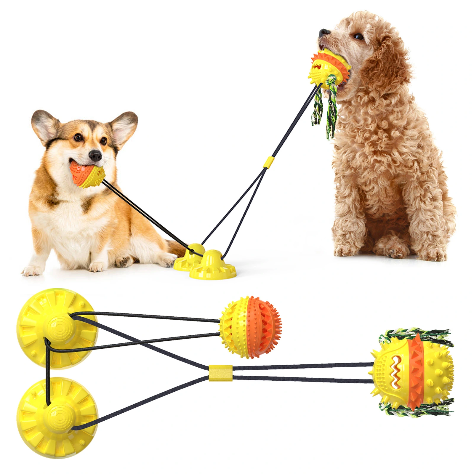 Dog Chew Toys - Carllg Squeaky Toy Dog Toys for Aggressive Chewers Large Breed Non-Toxic