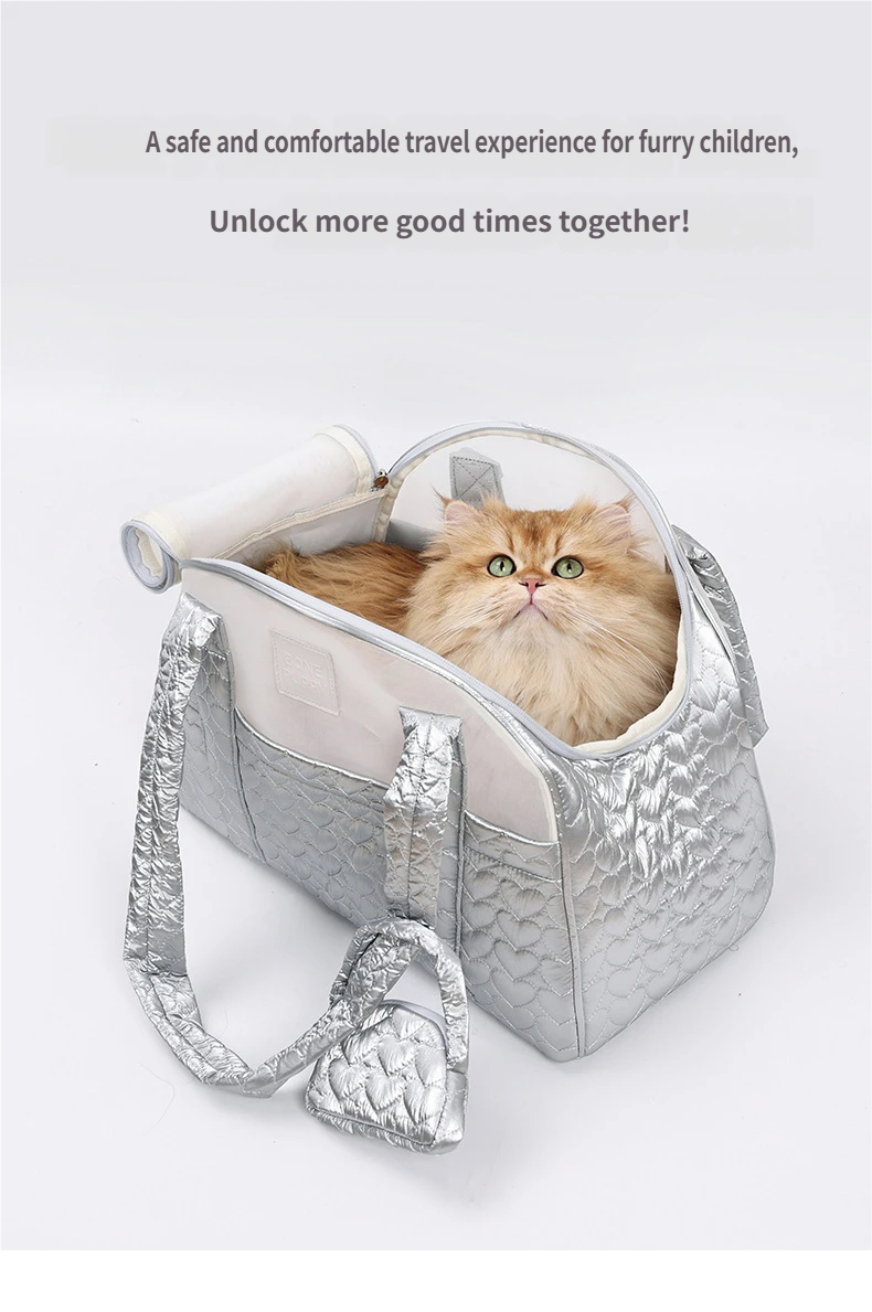 Airflow Breathable Pet Carrier for Travel