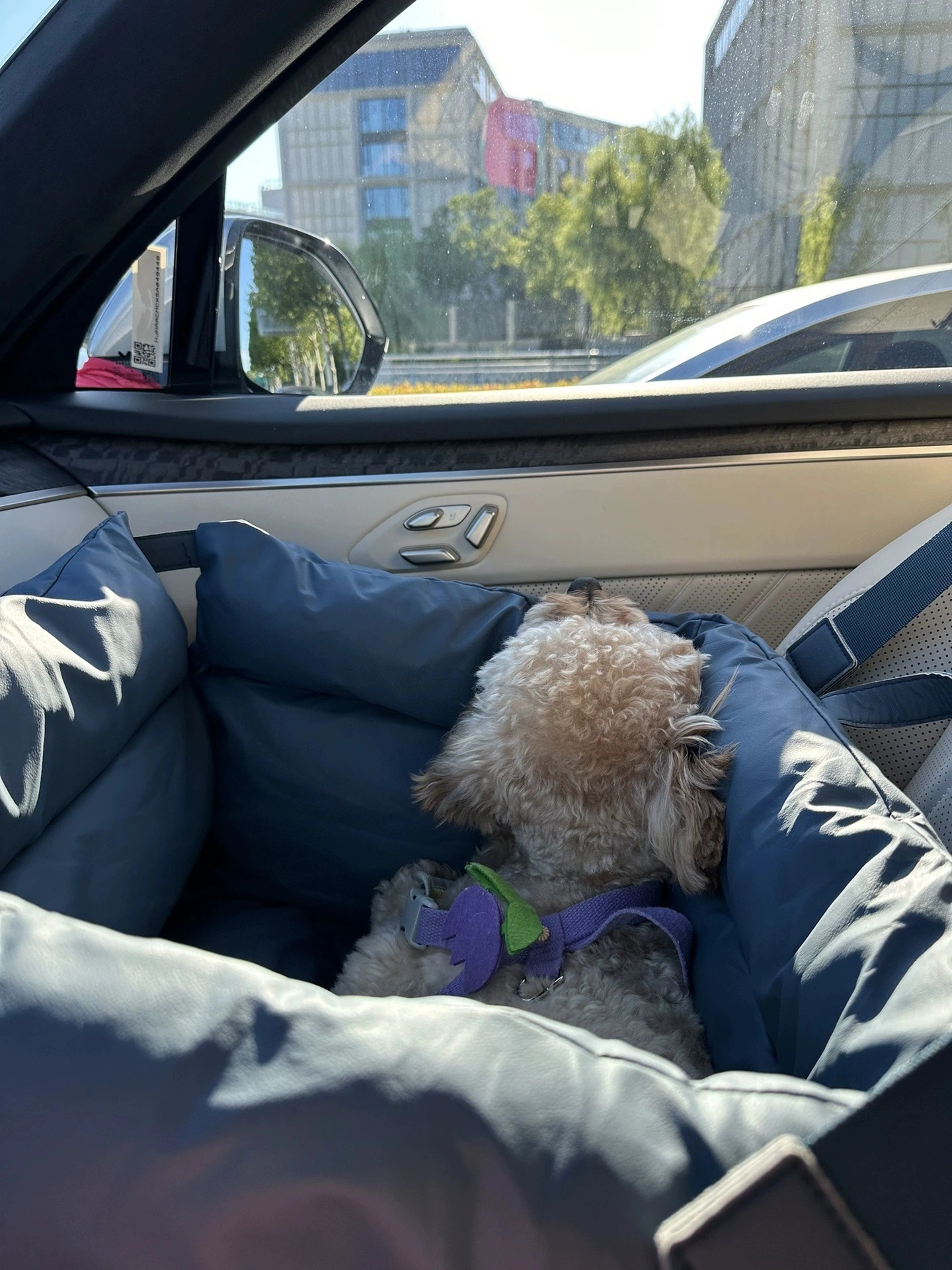 Reflective Strip Pet Car Carrier Bed - Safe Dog House for Night Travel - OEM Custom Design & Wholesale