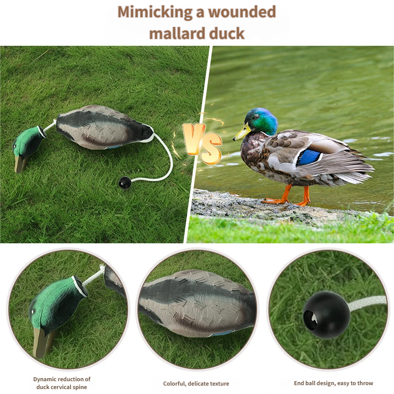 duck dog training - pet duck Portable EVA foam pet toy for on-the-go dog training