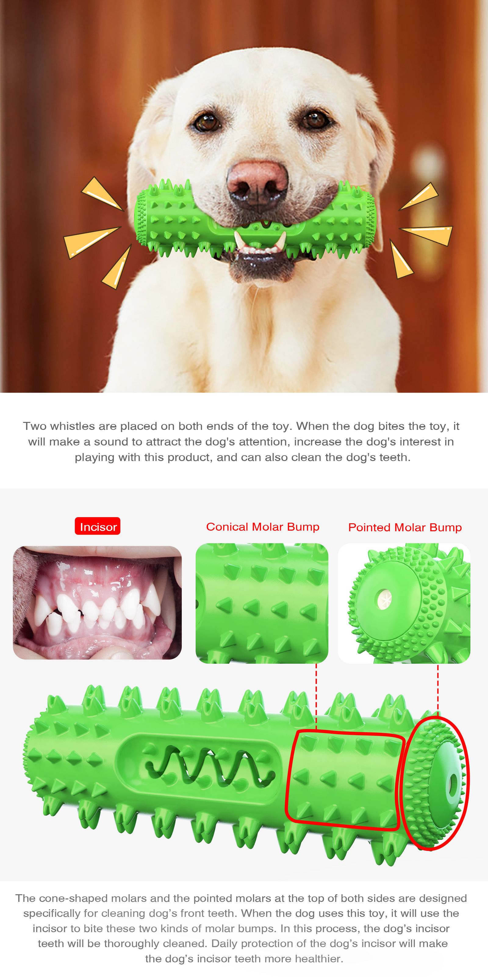 Soothe n chew - Chew toys for teething dogs Talking Dental Toothbrush Teething toys for puppies Chewable Dispenser
