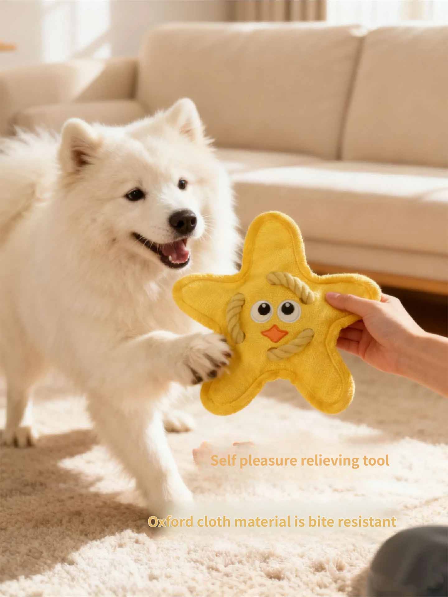 interactive toy - best flying disc for dogs Scratch-proof Oxford cloth best flying disc for dogs