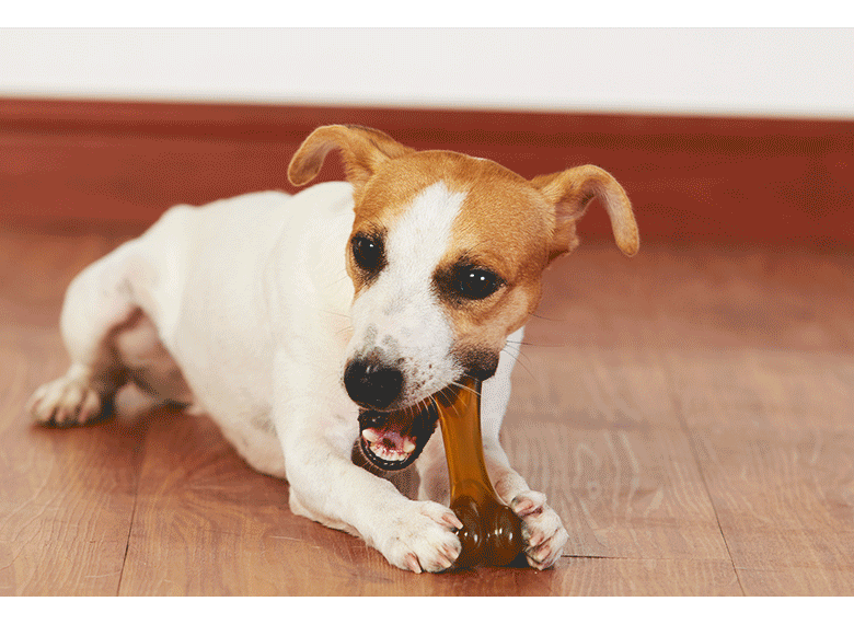PU chewable dog toy for all breeds - Dog toy Teething stick Bite-Resistant PU Bone with Beef Scent