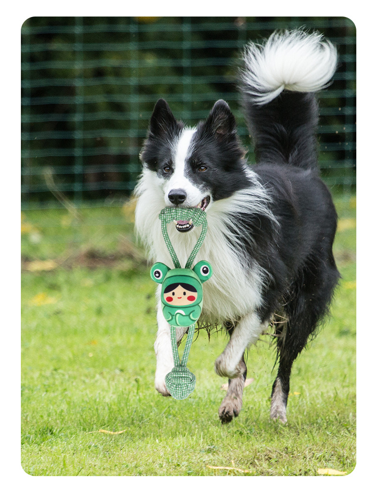 noise maker toy - interactive toy Wear-resistant Chewing toy for long-lasting fun