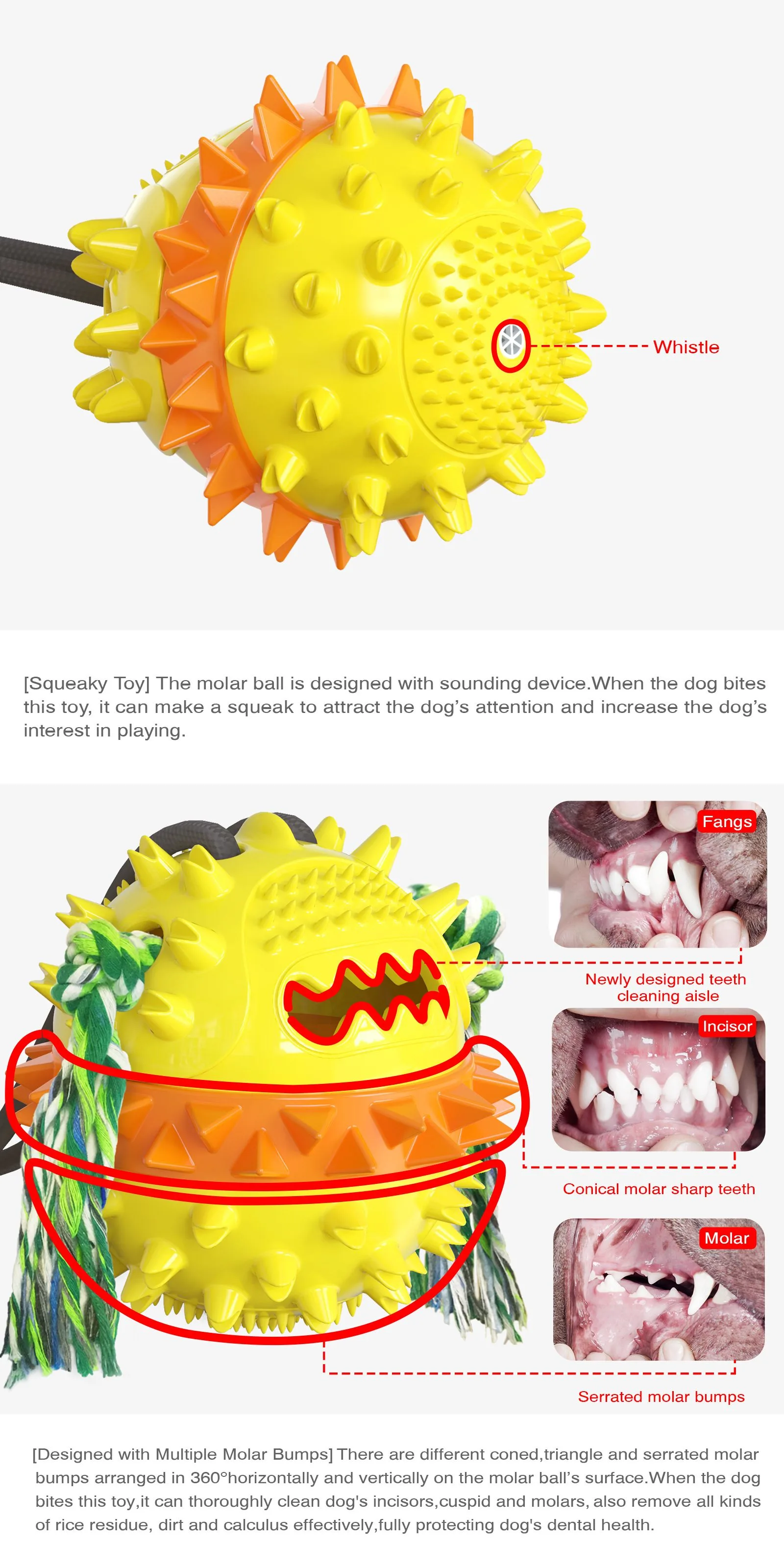 Squeaky Toy - Carllg Dog Chew Toys Dog Toys for Aggressive Chewers Large Breed Teeth Cleaning