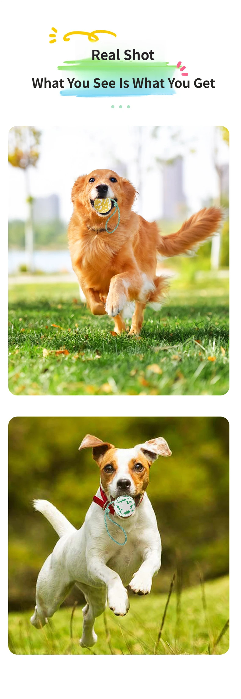 Bouncy Ball - interactive pet toy ball Hot-selling biodegradable Bouncy Ball, a top interactive dog toy ball
