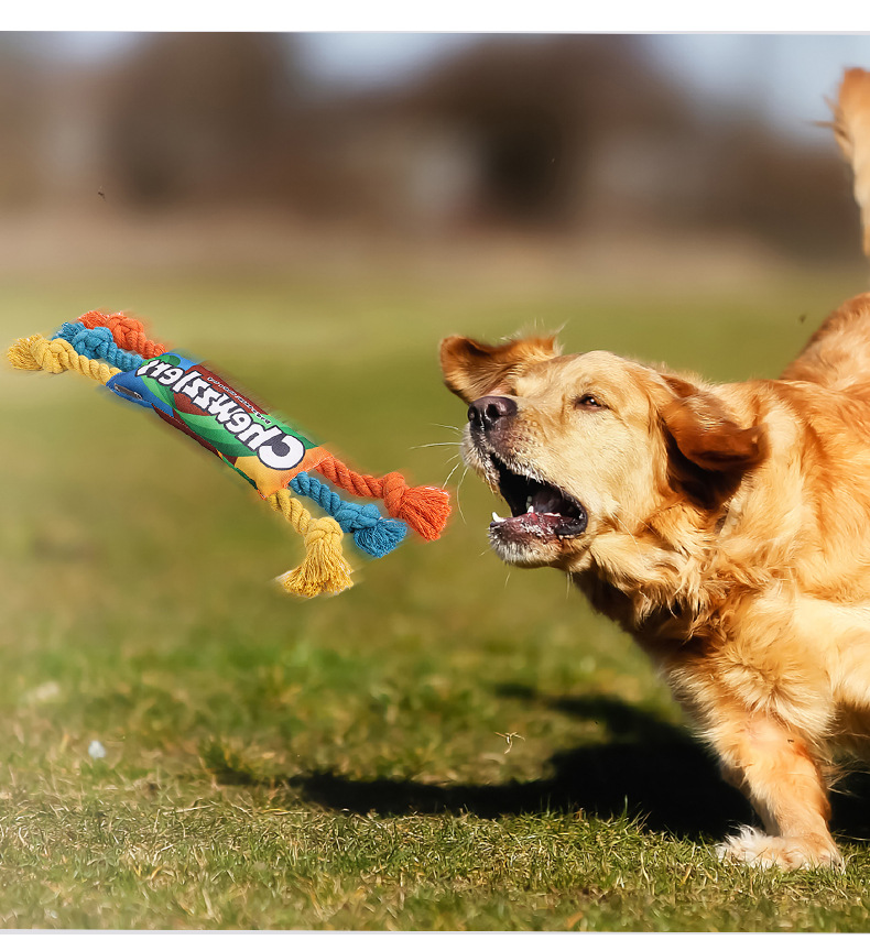 dog toy - dog teething toys Durable noisy puppy teething toys for cross-border sales