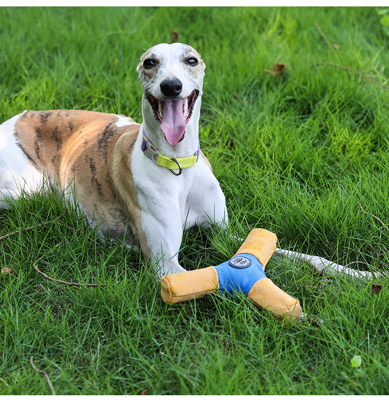 dog flying disk - interactive toy Noise-making interactive toy for teething puppy chewing