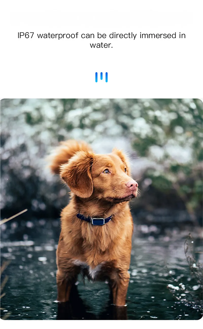 Smart Pet Activity - GPS Tracker for Dogs Cat GPS Tracker Real-Time Pet GPS Location Finder