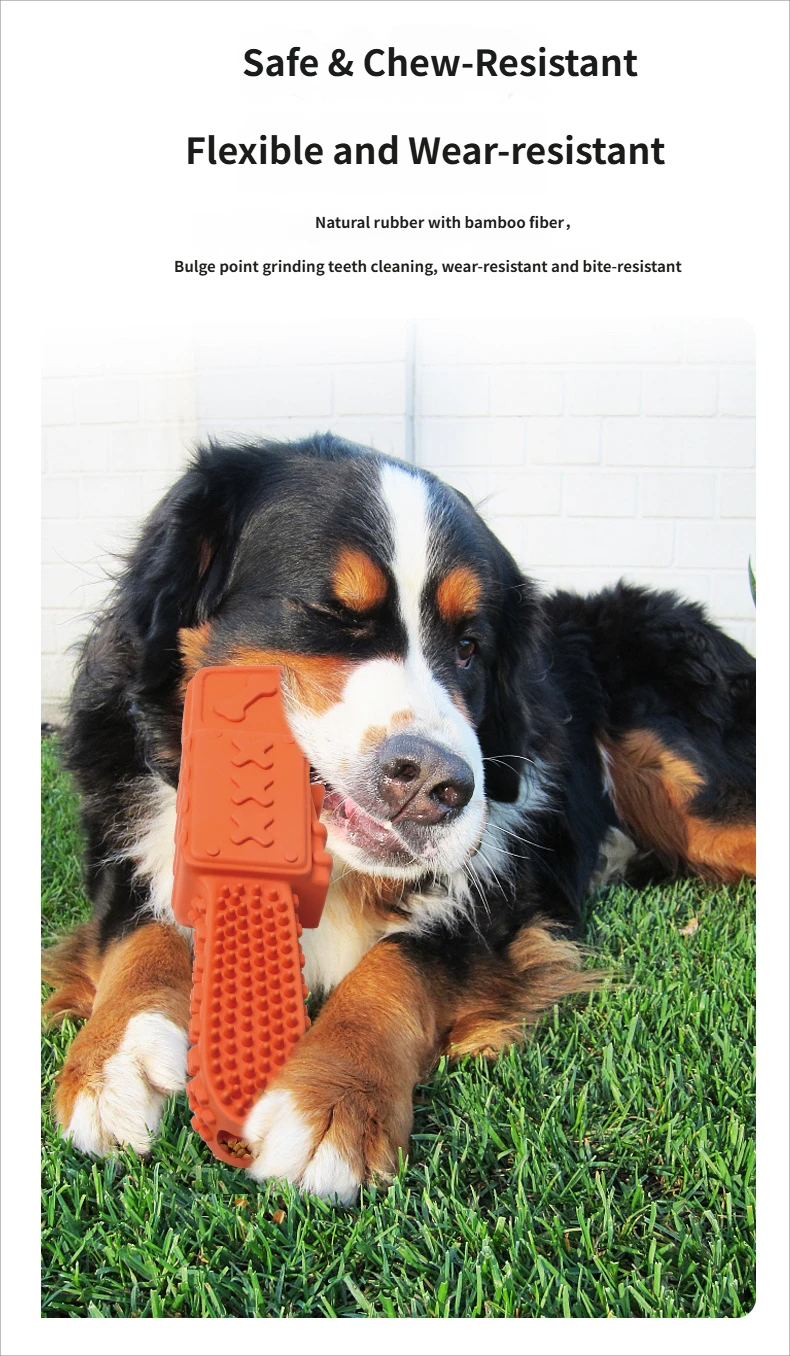 B2C chewing toy super tough dog toys - Best teething toys for puppies leak-proof degradable pet toy