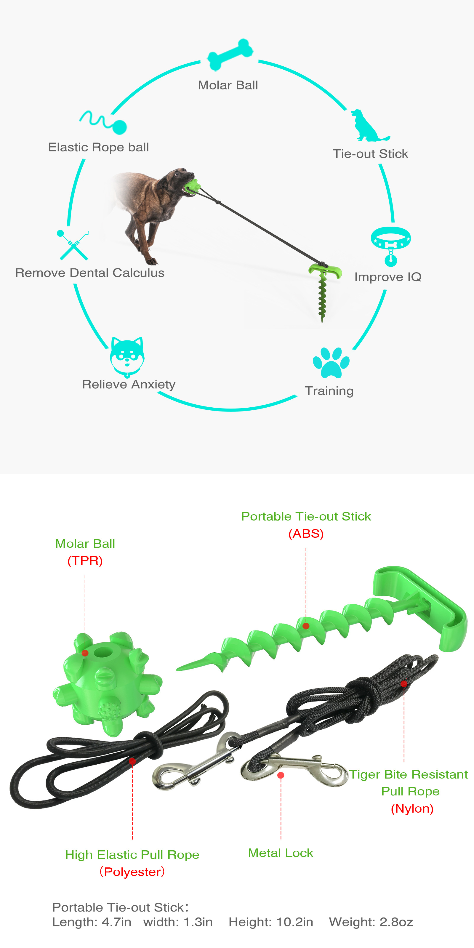 Dog Leash Stake - Dog Yard Stake Portable Outdoor Dog Stake Tie Out Easy to Install for Lawn