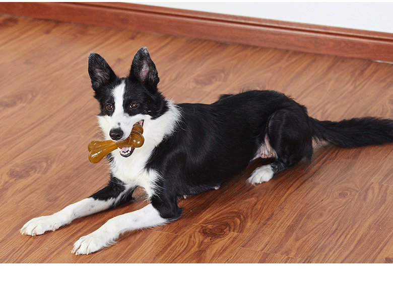 Dog toy - PU chewable dog toy for all breeds Teething stick Soft PU Material Protects Dog Teeth