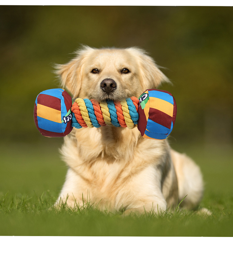 puppy teething toys - dog toy Grinding dog teething toys for healthy teeth and gums