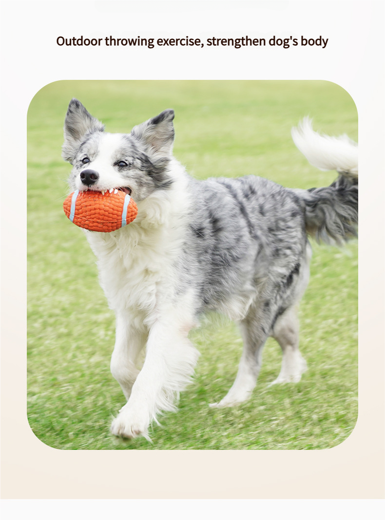 Durable Dog Interactive Toys - Pet toy Dog bite sound ball Washable Chew Ball Relieves Dog Boredom