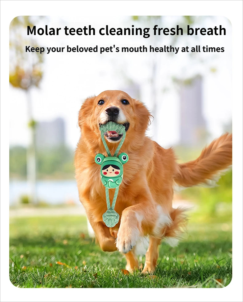 interactive toy - Chewing toy Cross-border hot-selling noise maker toy for dogs
