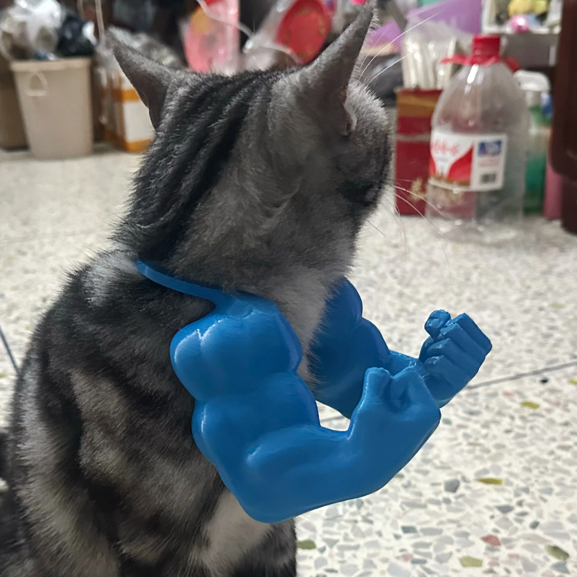 3D printed cat toys - Adjustable Cat Muscle Arms Pet toys Lightweight Cat Toy for Travel & Home