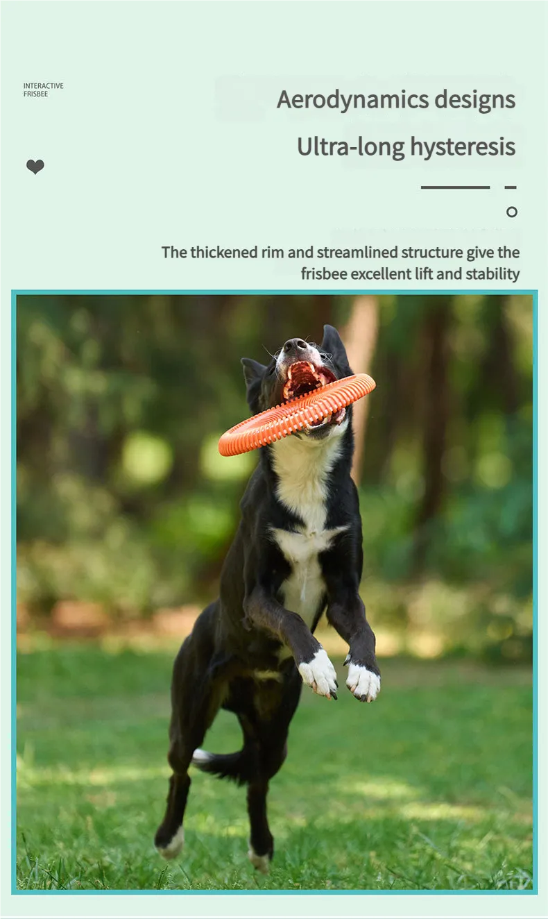 Best flying disc for dogs - Outdoor training dog Dog flying disc Lightweight Frisbee for Long-Distance Flight