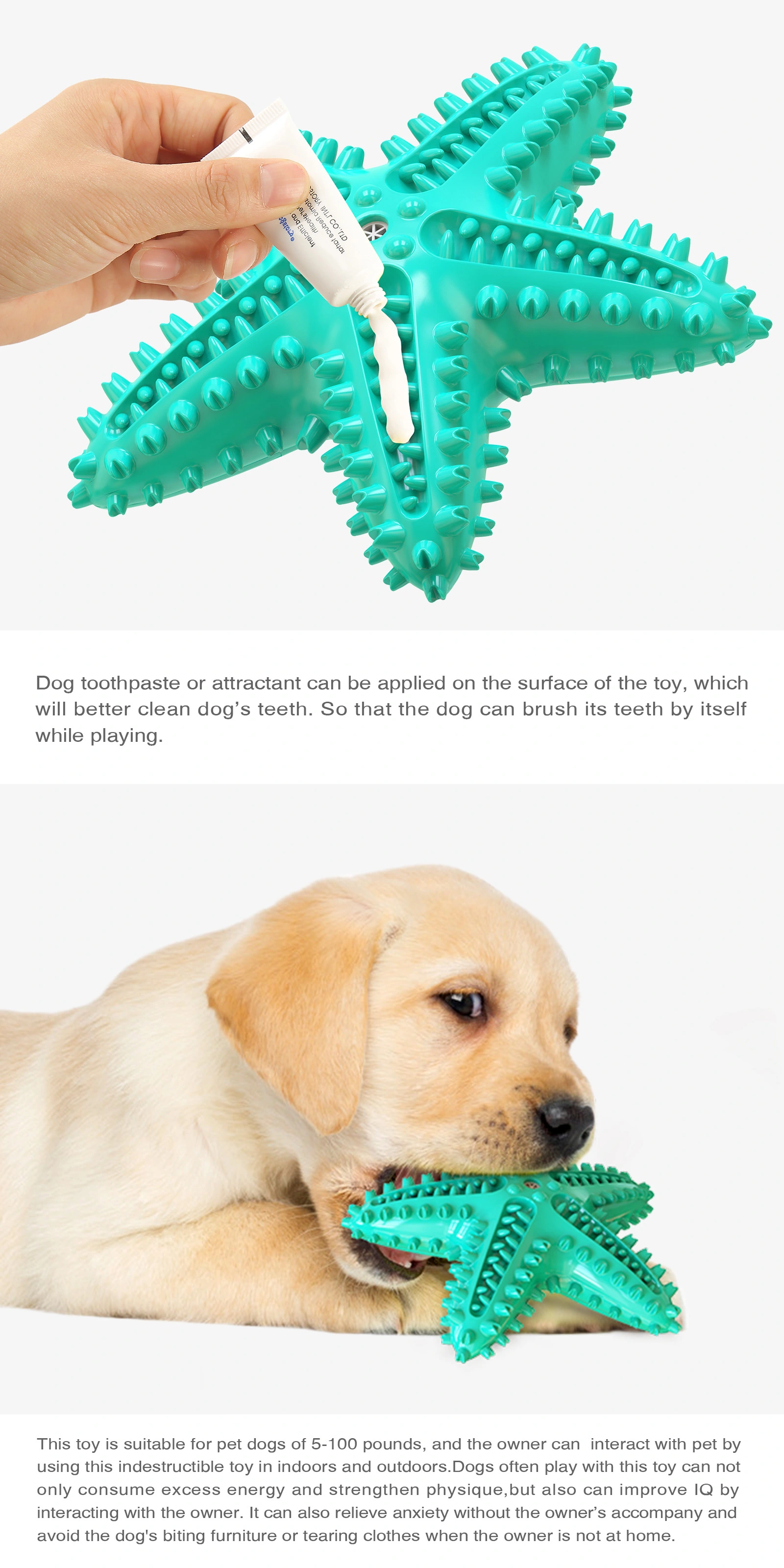 Dog Chew Toys - Dog Squeaking Toys Interactive Dog Toys Non-Toxic for Aggressive Chewers