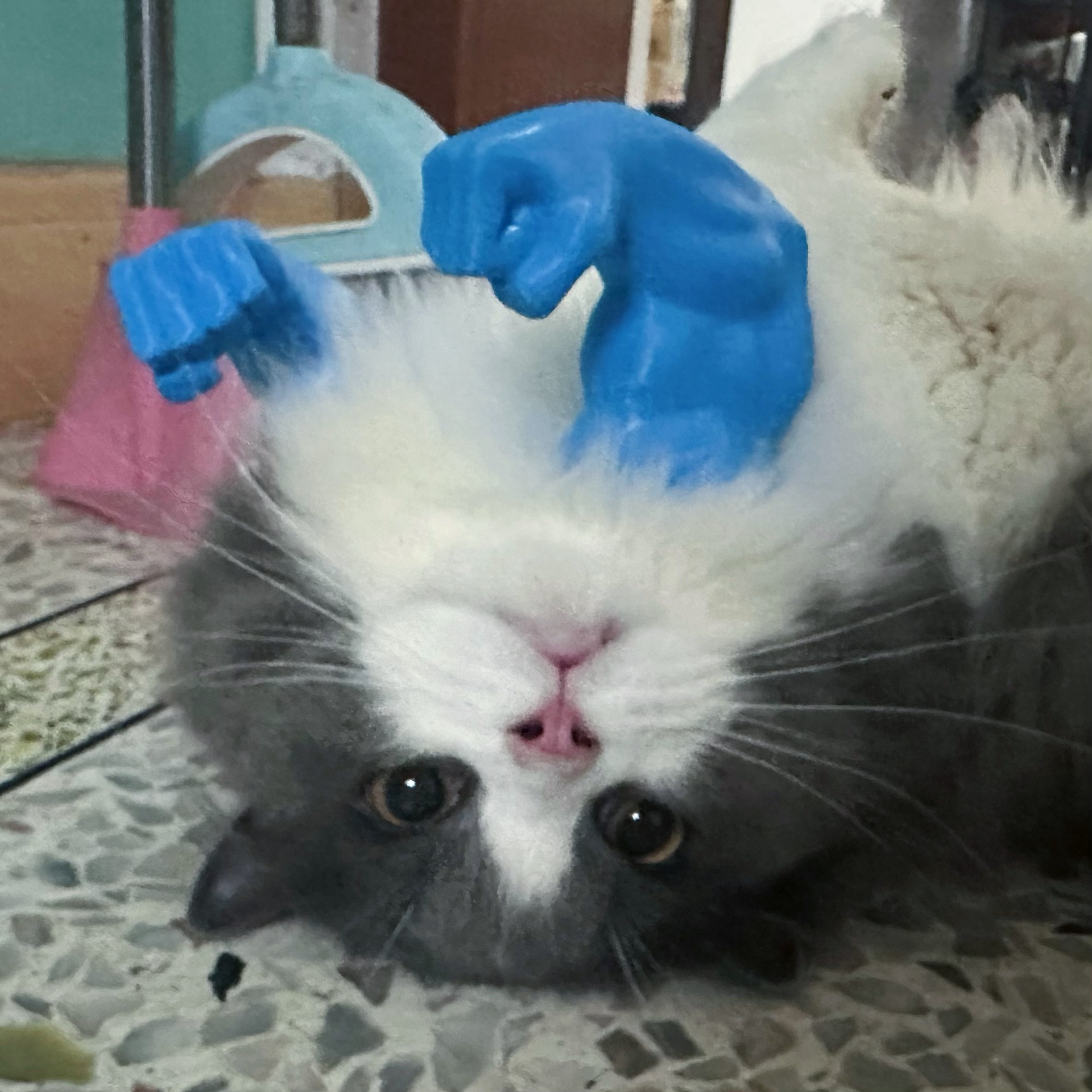 Adjustable Cat Muscle Arms - 3D printed cat toys Pet toys 3D Printed Fun Toy for Cat Chase & Play