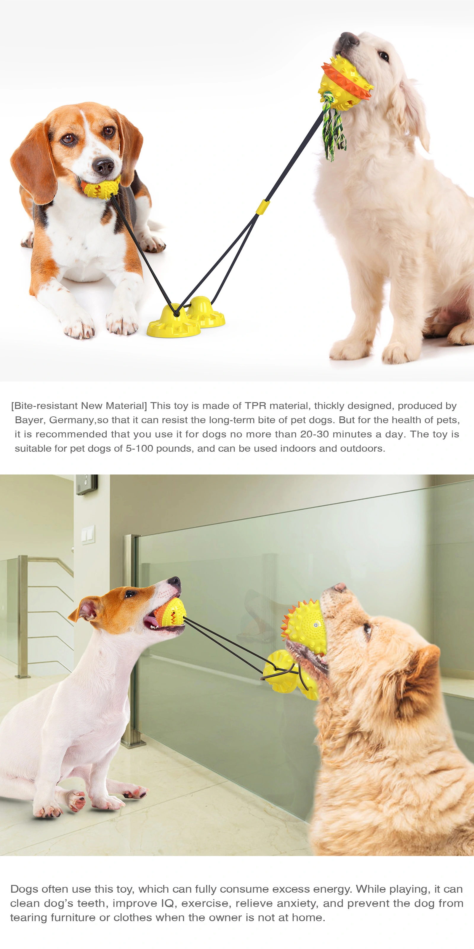 Dog Toys for Aggressive Chewers Large Breed - Carllg Squeaky Dog Chew Toys Anti-Choke Design