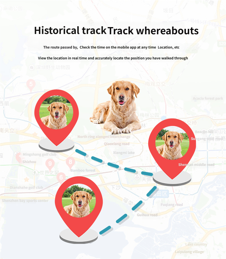 Cat Collar Real-Time Positioning - Smart Adjustable Collar Anti-Loss Pet Tracker for Small Cats