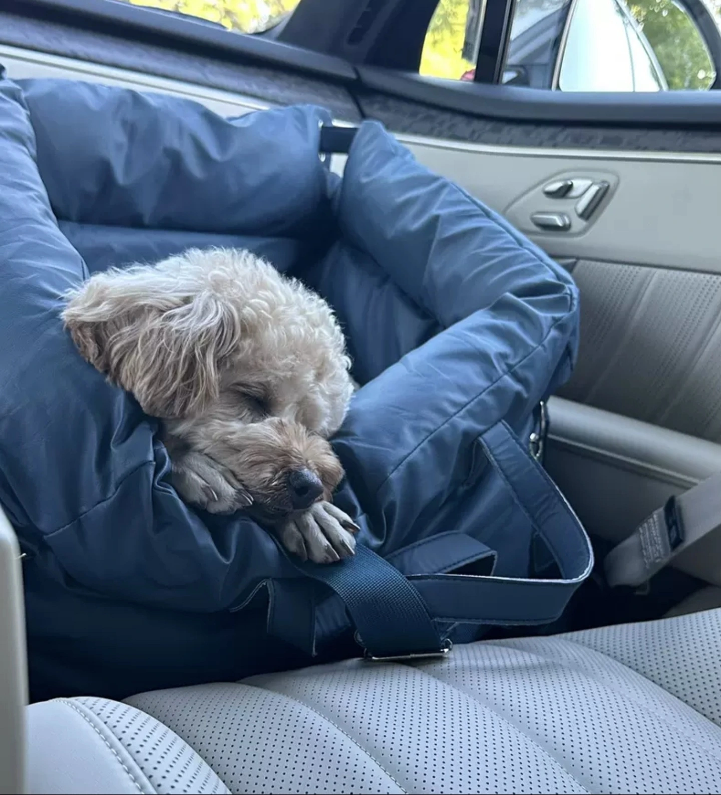 Detachable Pet Car Carrier Bed - 2-Layer Dog House for Small Pets - Customizable & Bulk Wholesale