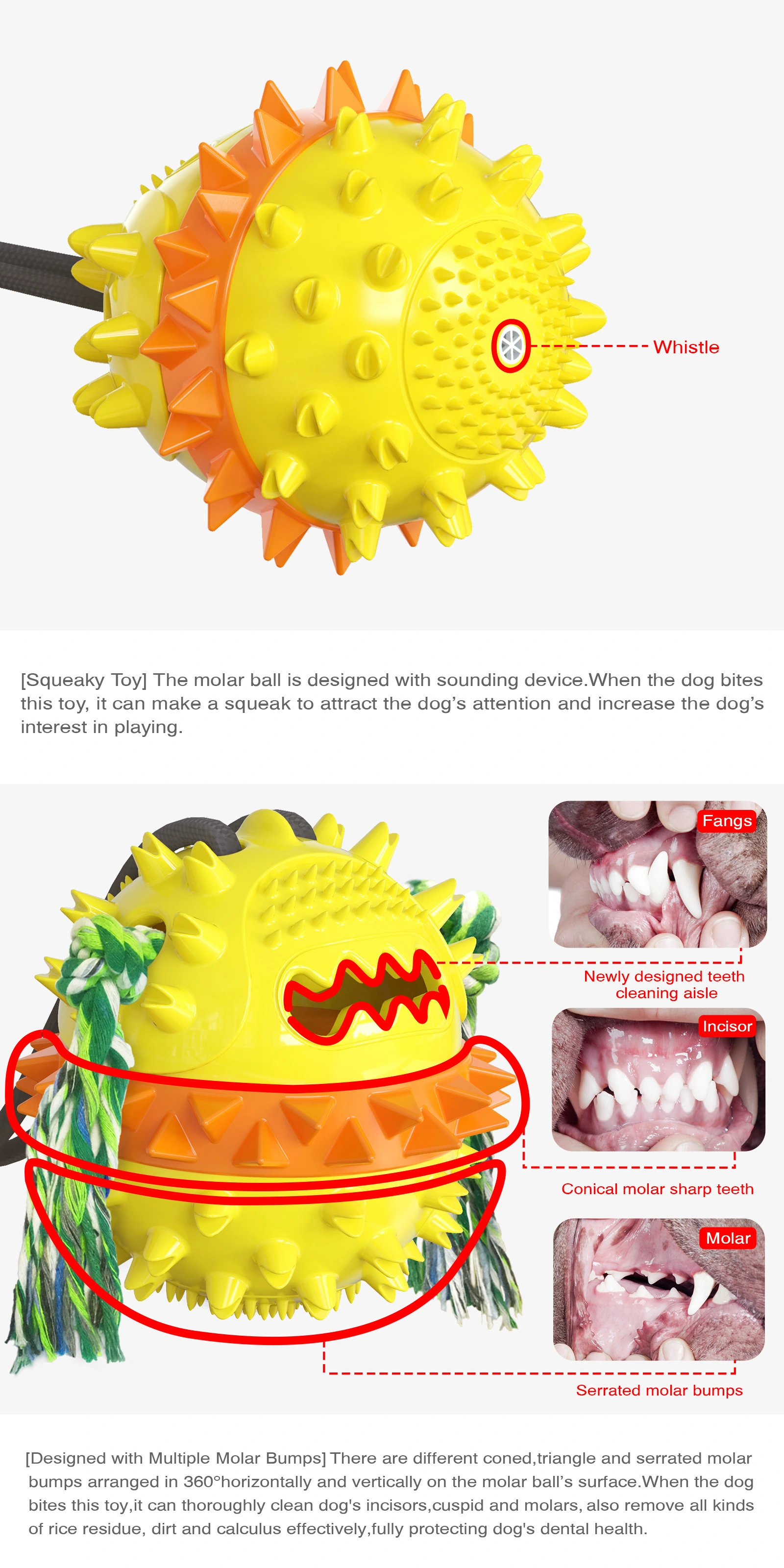 Dog Interactive Toys - Puppy Teething Toys Dog Chew Toys Bite-Resistant for Adult Dogs & Puppies