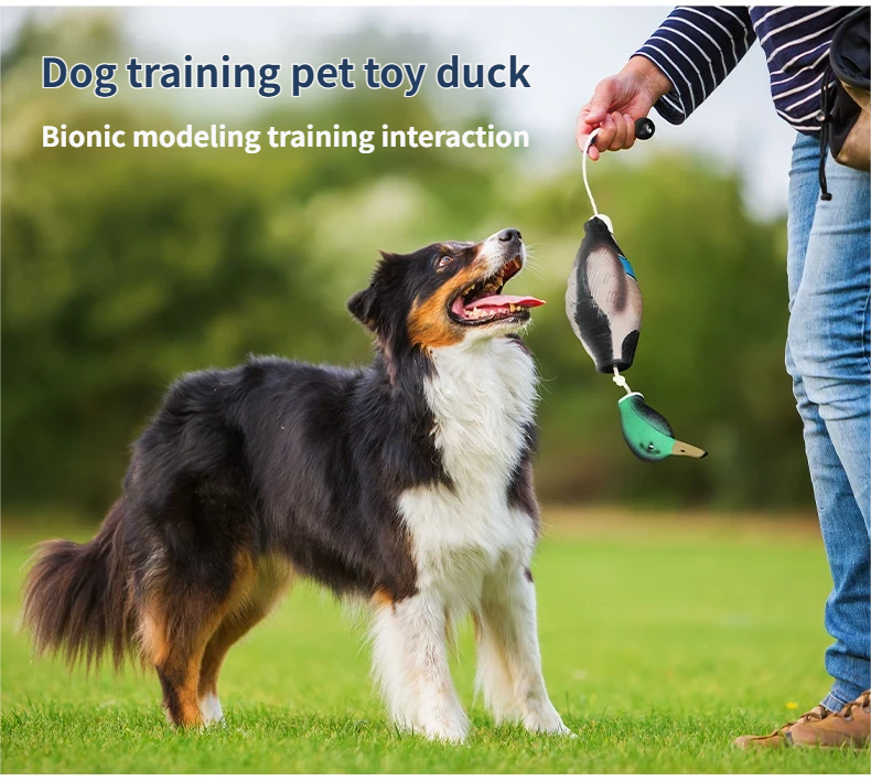 pet duck - duck dog training Hand-thrown pet toy, a fun pet duck for dog training