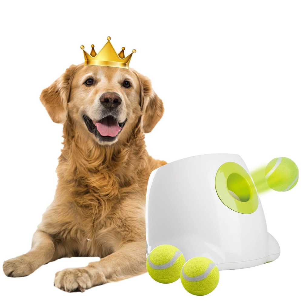 Automatic ball thrower - Dog ball launcher Dog ball throwing machine Outdoor Training Ball Launcher for Medium Dogs