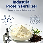 protein powder