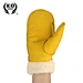 Winter Gloves